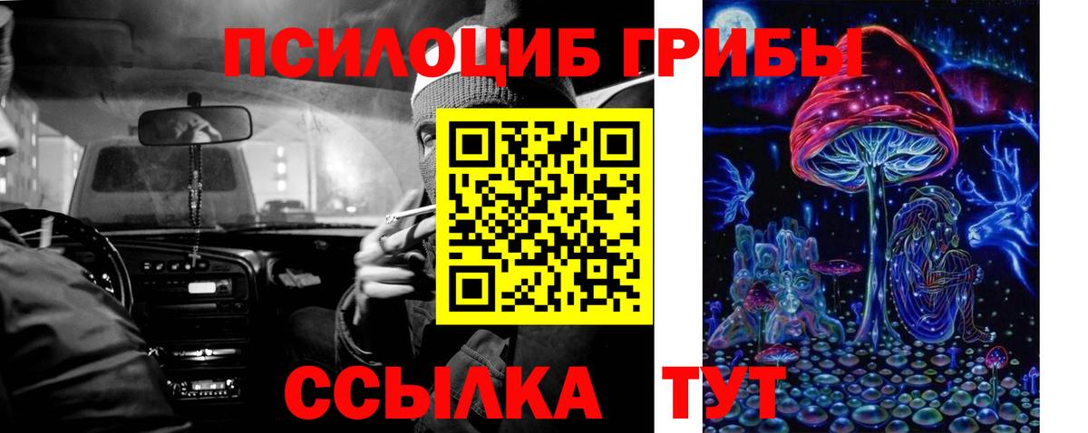 Псилоцибиновые грибы Psilocybine cubensis Белогорск