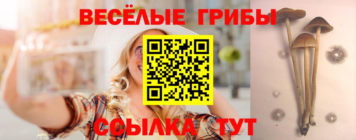Белогорск  где продают   Вход с VPN  Галлюциногенные грибы GOLDEN TEACHER 